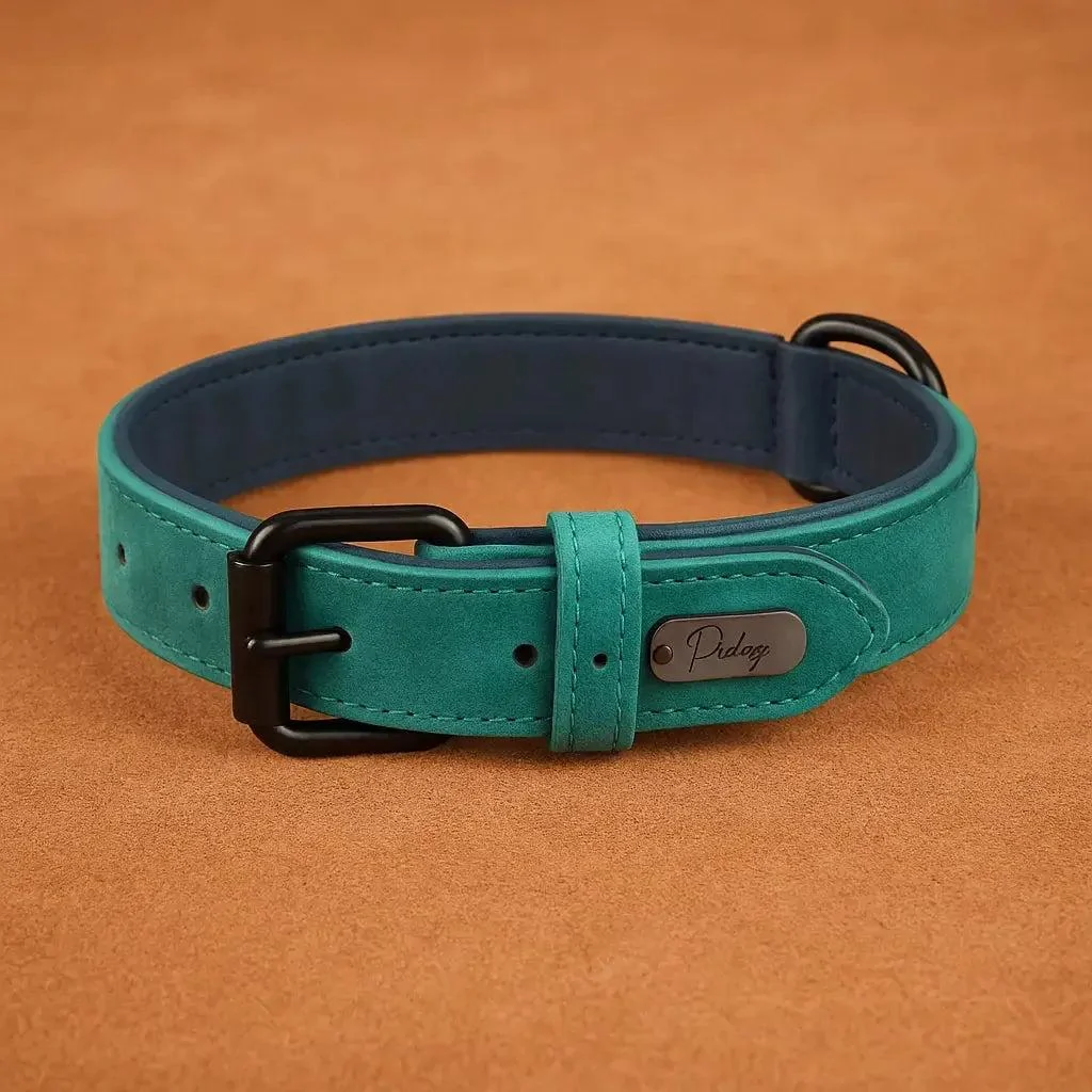 Padded Leather Dog Collar for Strong Breeds 10