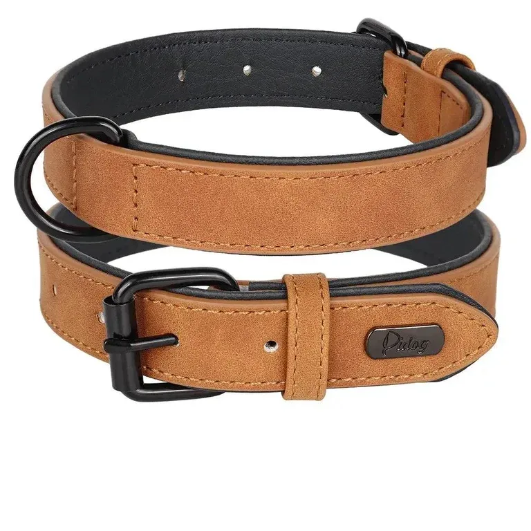 Padded Leather Dog Collar for Strong Breeds alternate view