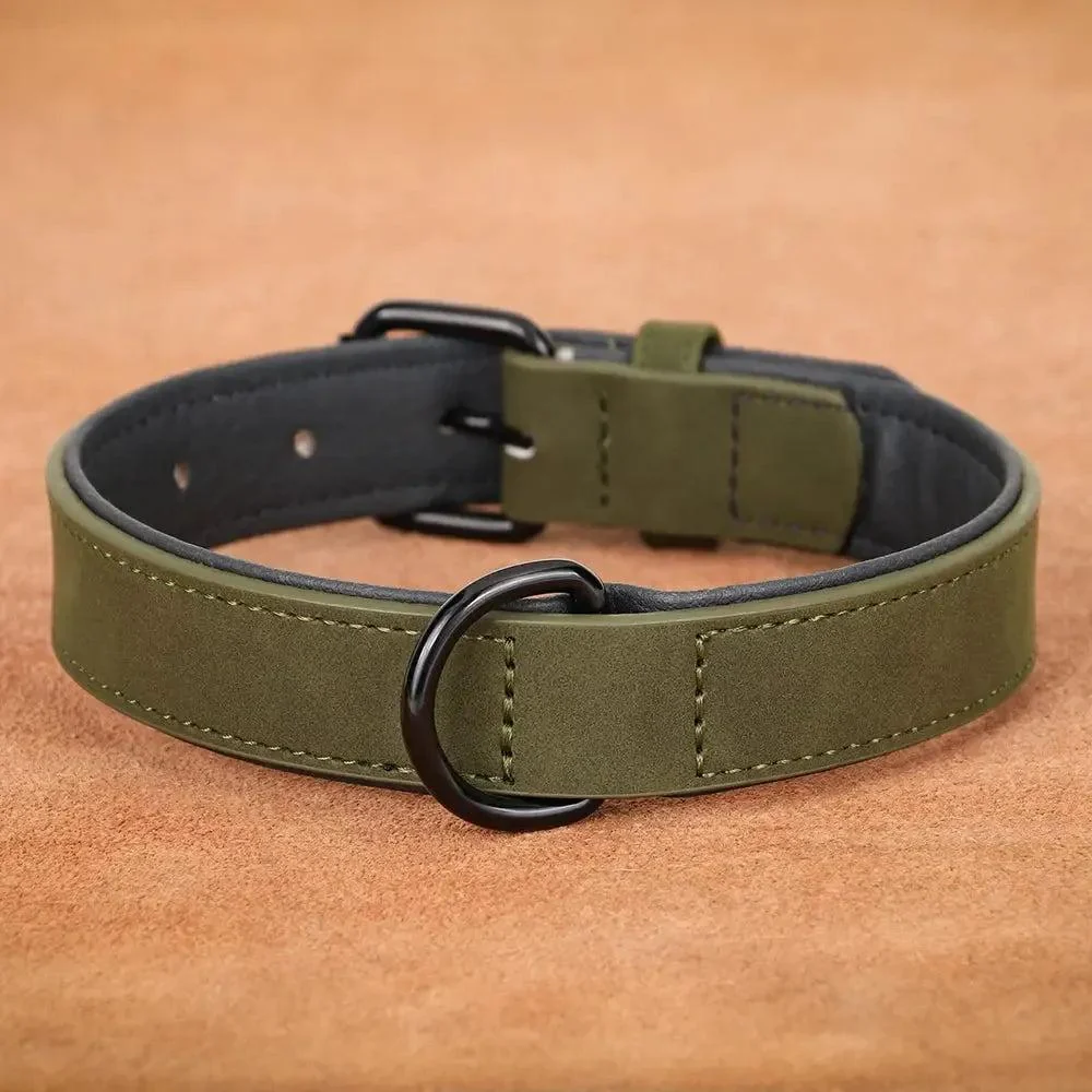 Padded Leather Dog Collar for Strong Breeds 6