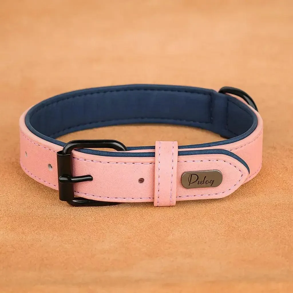 Padded Leather Dog Collar for Strong Breeds 9