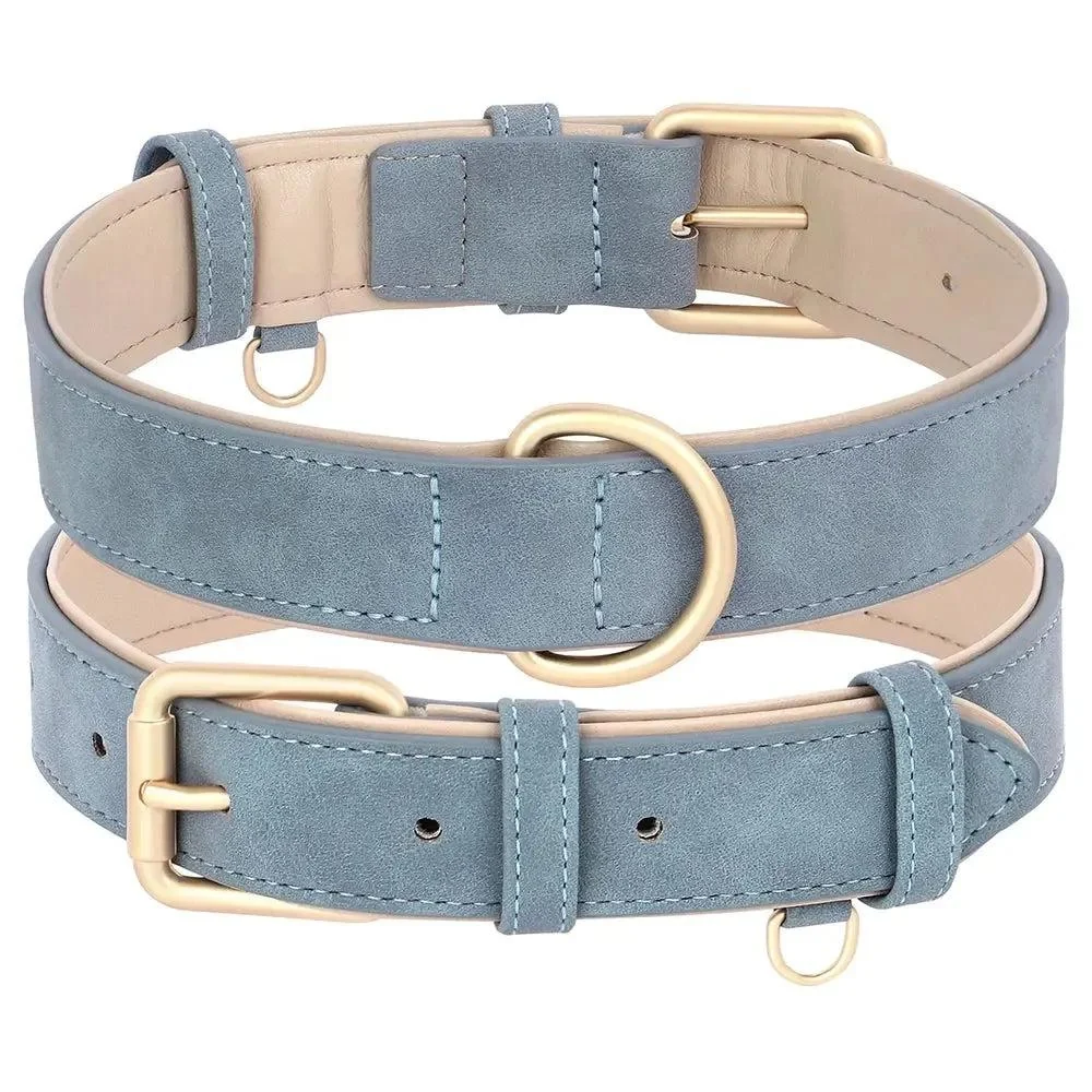 Padded Leather Dog Collar & Leash Stylish Set 10