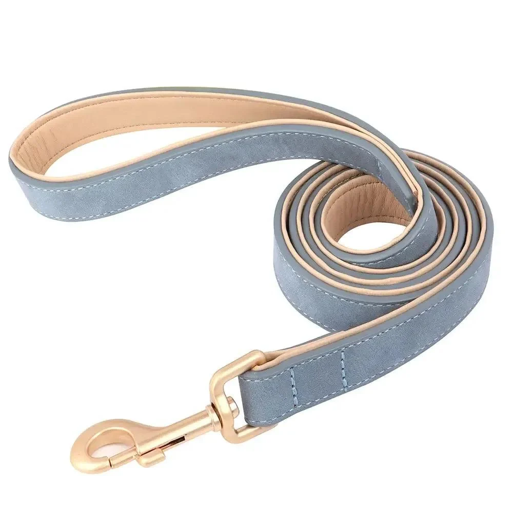 Padded Leather Dog Collar & Leash Stylish Set 11