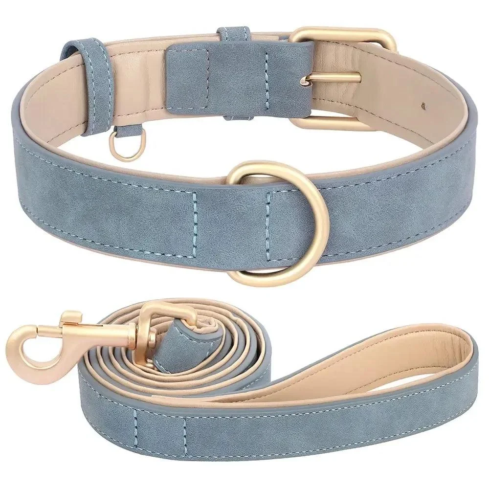 Padded Leather Dog Collar & Leash Stylish Set 12