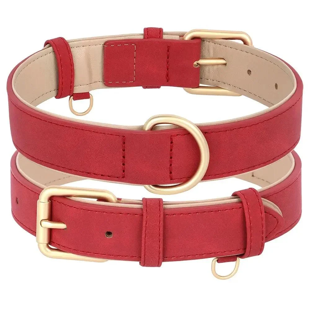 Padded Leather Dog Collar & Leash Stylish Set 13