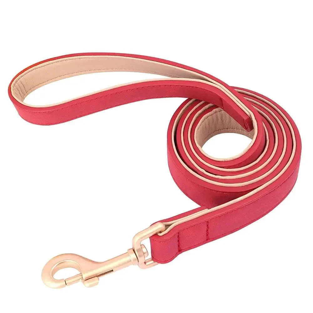 Padded Leather Dog Collar & Leash Stylish Set 14