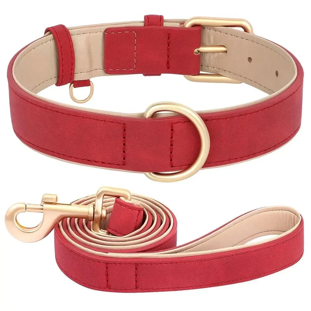 Padded Leather Dog Collar & Leash Stylish Set 15