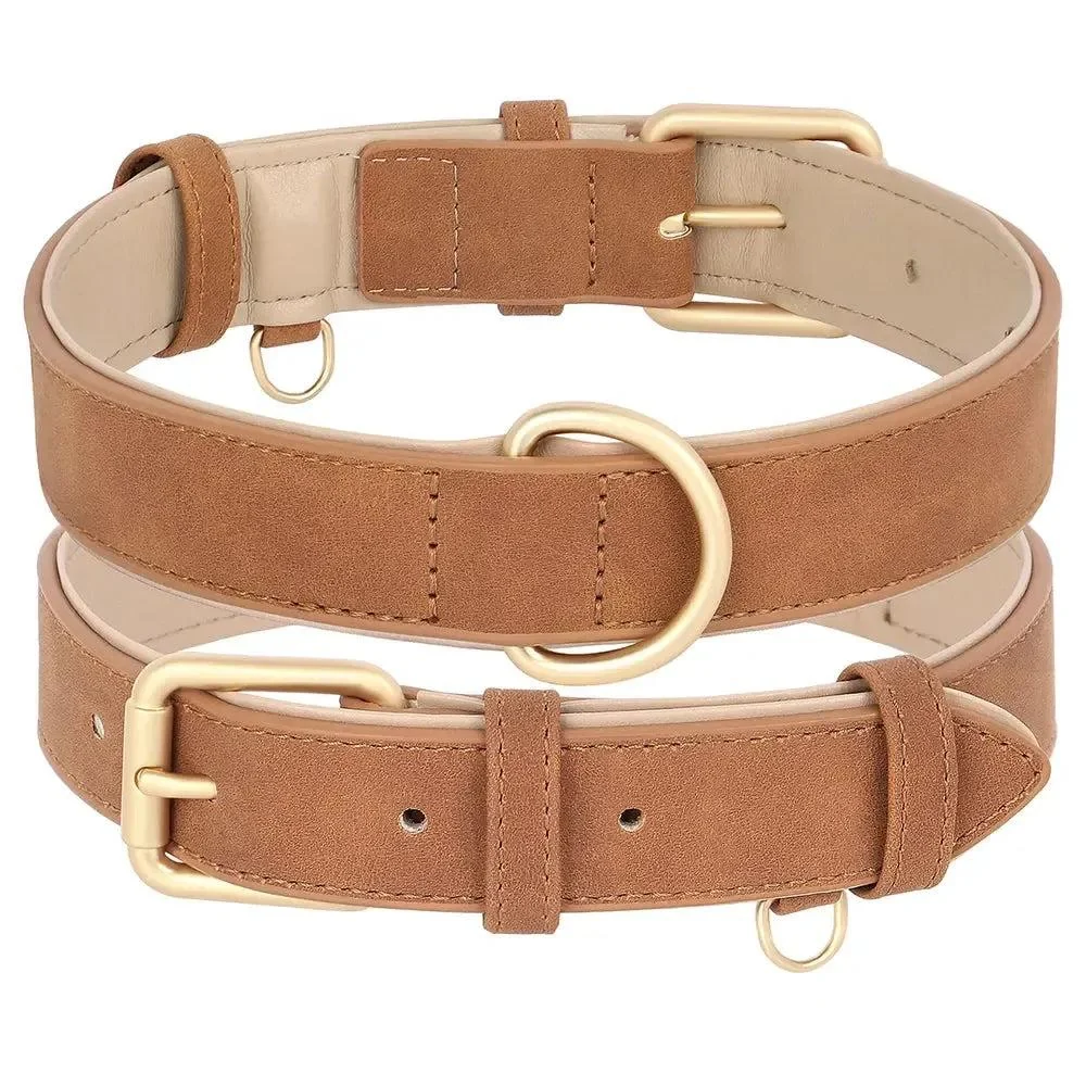 Padded Leather Dog Collar & Leash Stylish Set 16