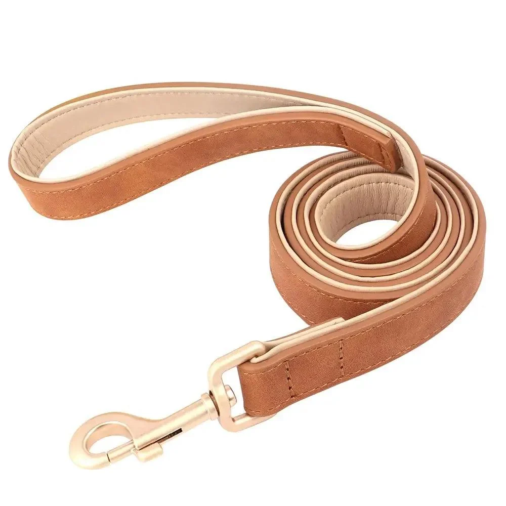 Padded Leather Dog Collar & Leash Stylish Set 17