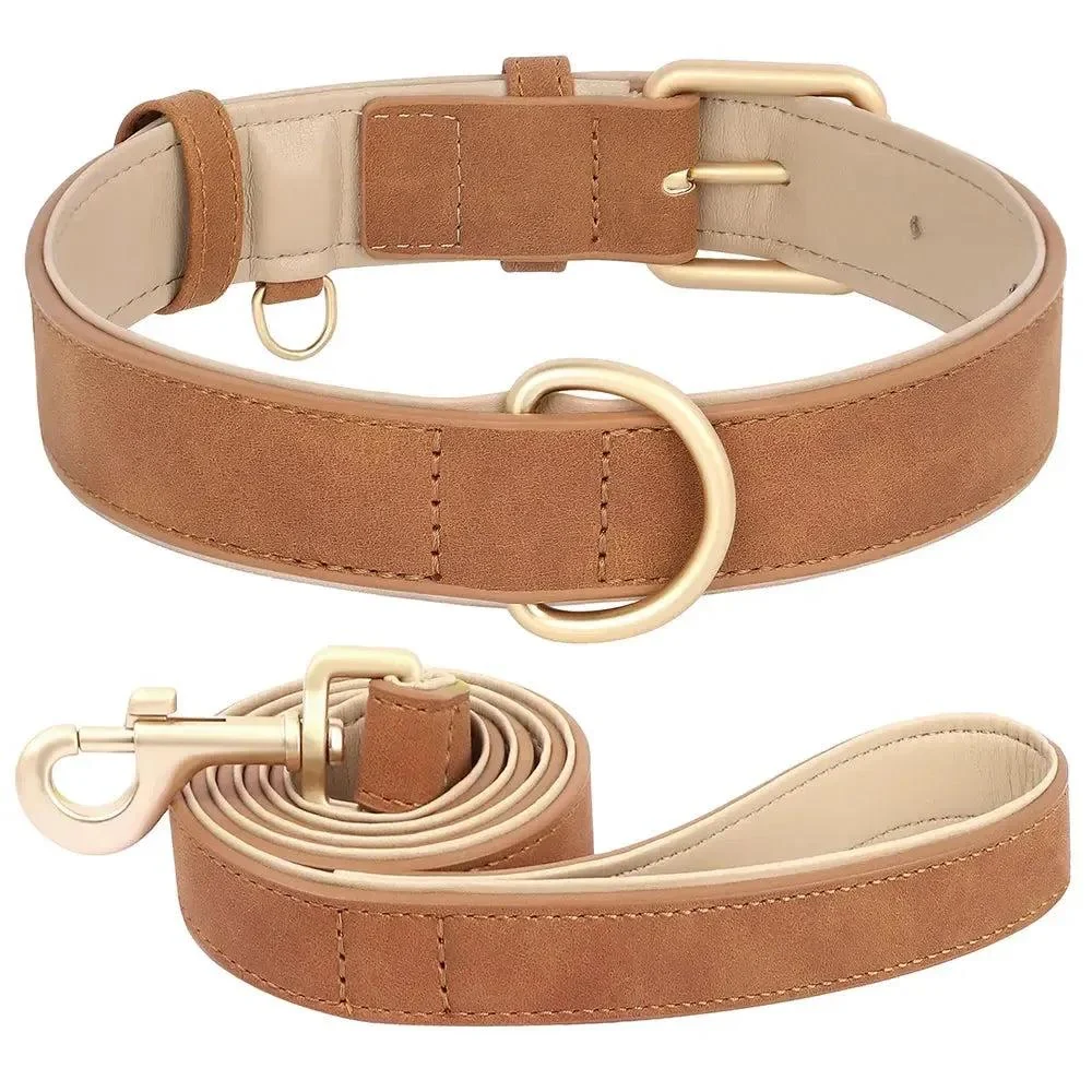 Padded Leather Dog Collar & Leash Stylish Set 18