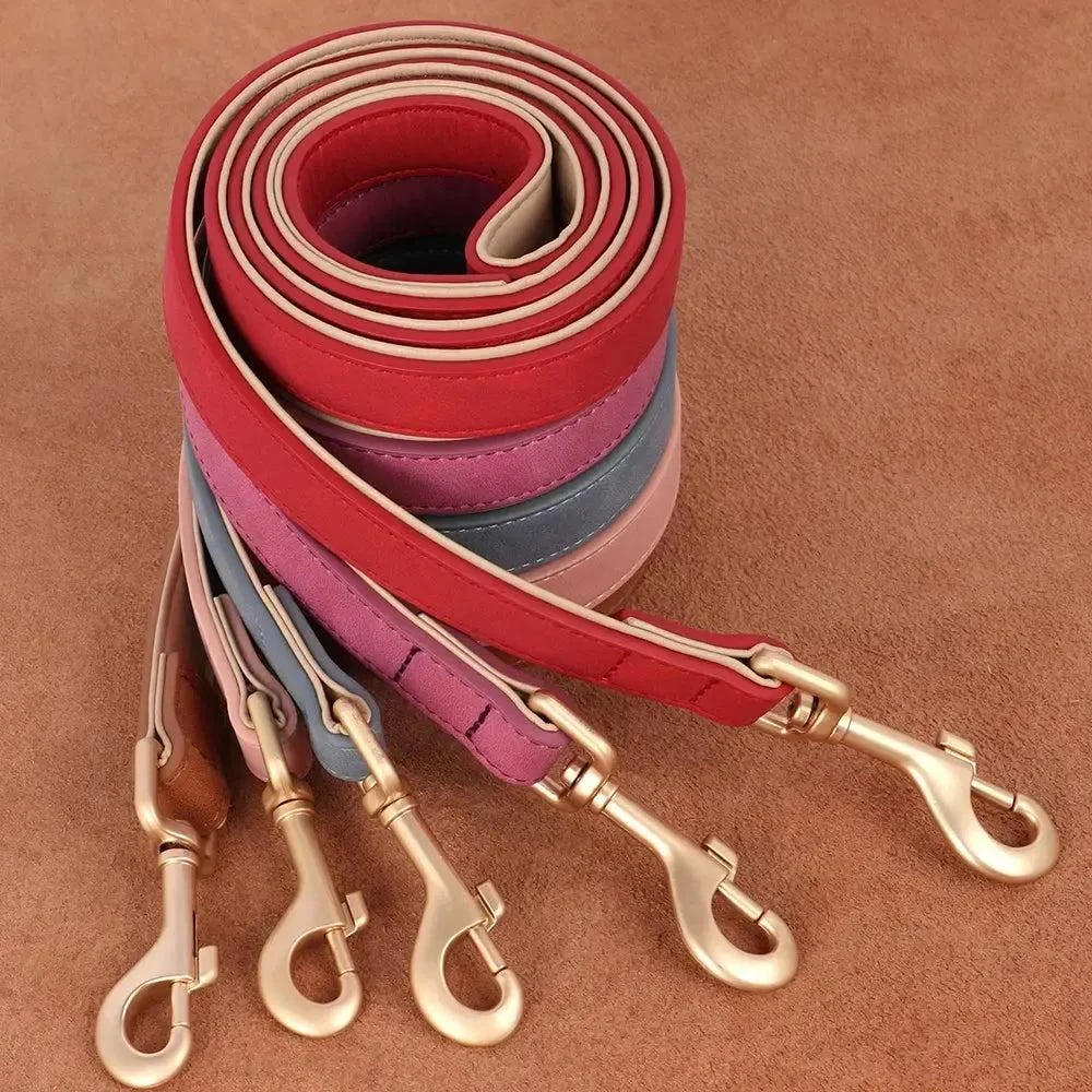 Padded Leather Dog Collar & Leash Stylish Set 2
