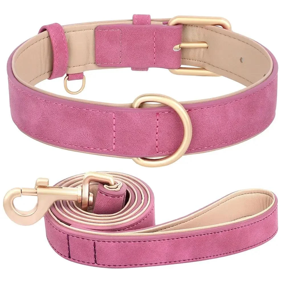 Padded Leather Dog Collar & Leash Stylish Set 4