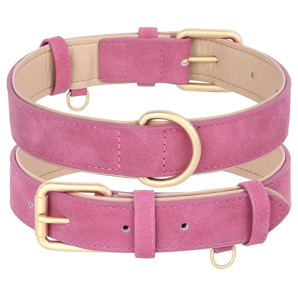 Padded Leather Dog Collar & Leash Stylish Set 5