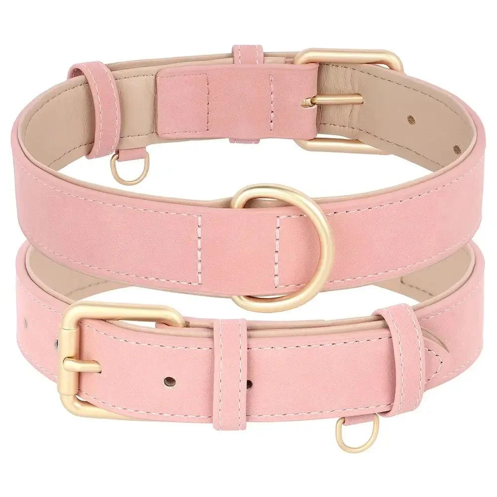 Padded Leather Dog Collar & Leash Stylish Set 7