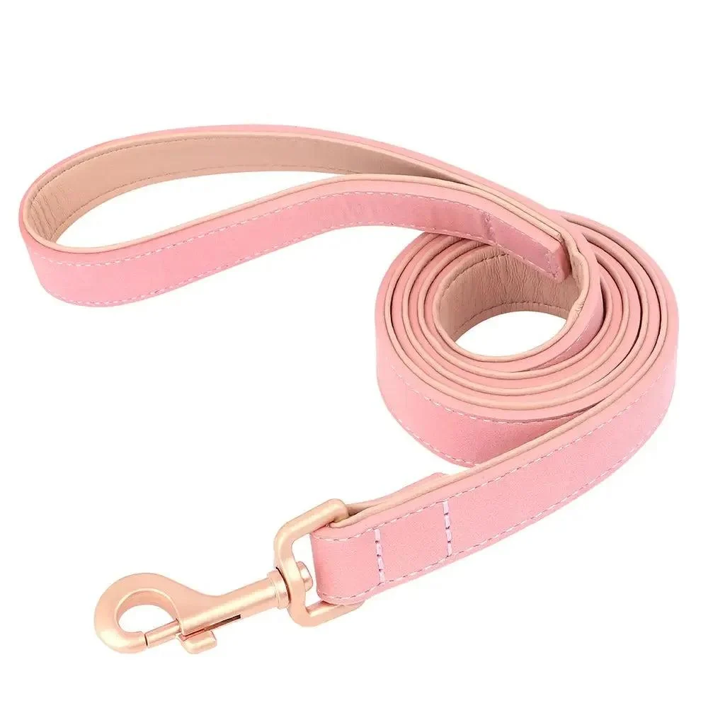 Padded Leather Dog Collar & Leash Stylish Set 8