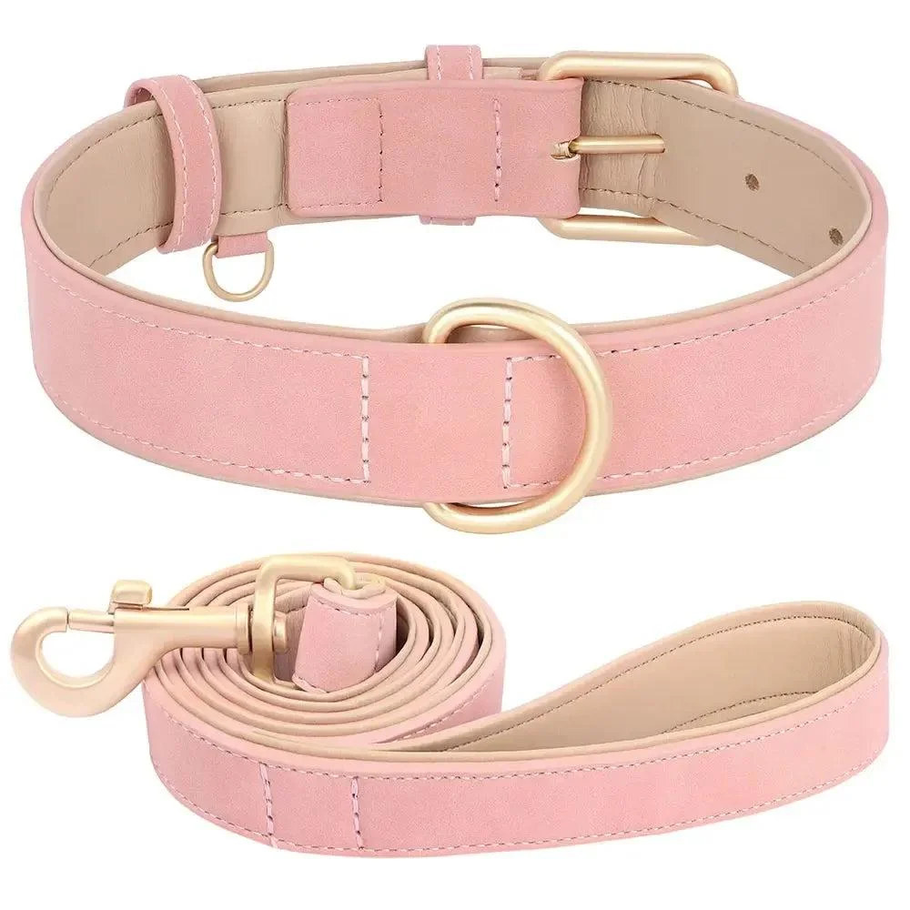 Padded Leather Dog Collar & Leash Stylish Set 9