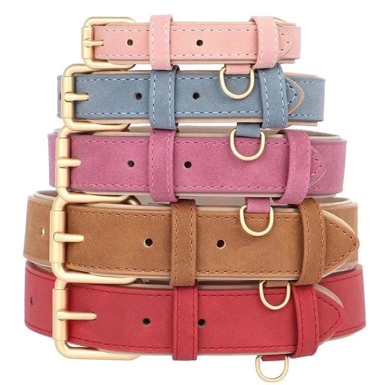 Padded Leather Dog Collar & Leash Stylish Set