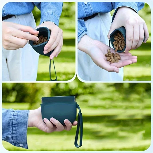 Portable Silicone Treat Pouch