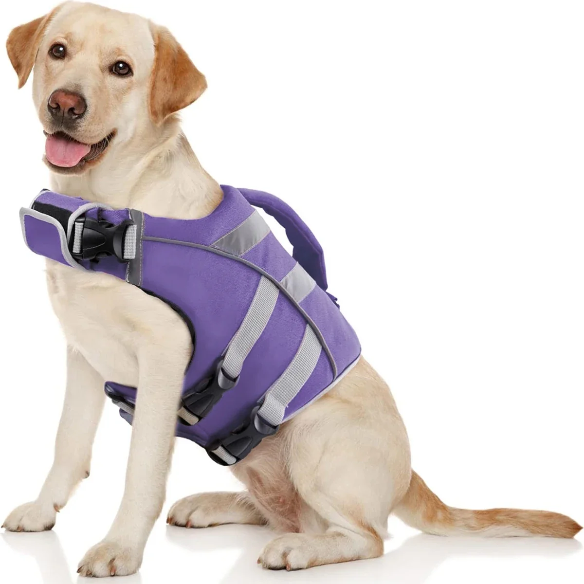 Premium Dog Life Jacket 6