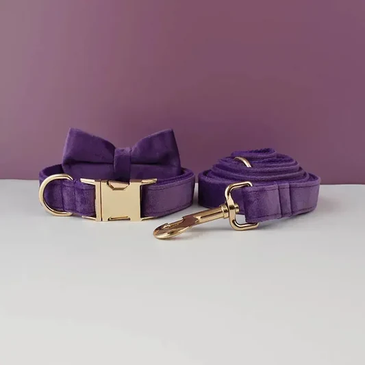 Purple Velvet Dog Collar alternate view