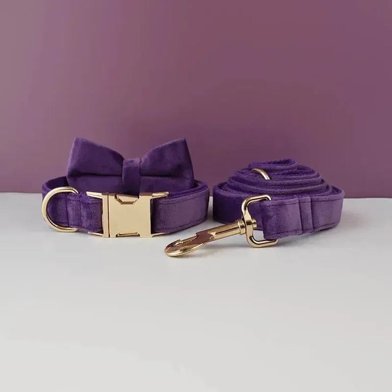 Purple Velvet Dog Collar alternate view