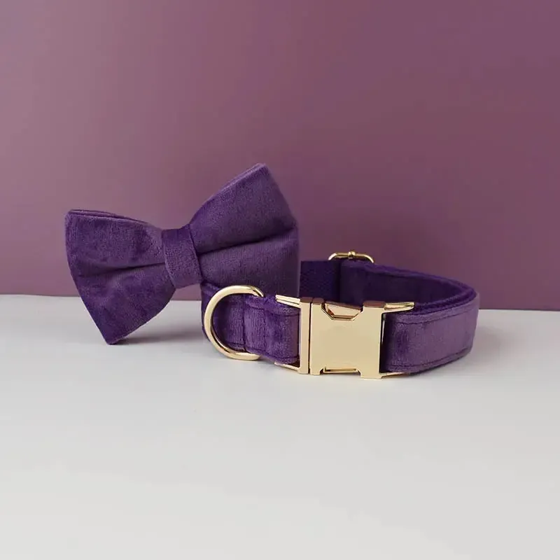Purple Velvet Dog Collar 3