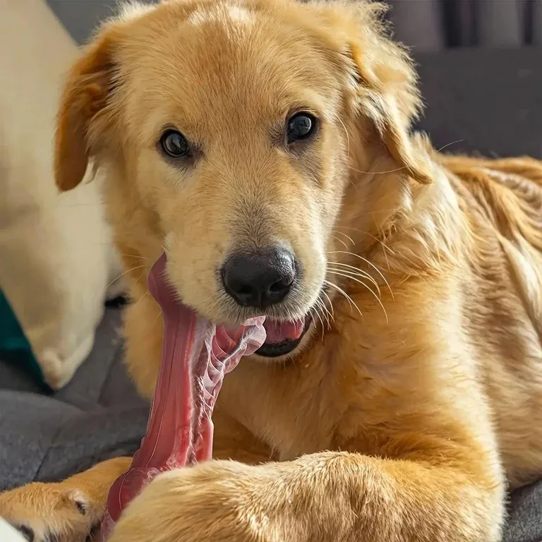 Realistic Bone Chew Toy for Large Dogs and Aggressive Chewers