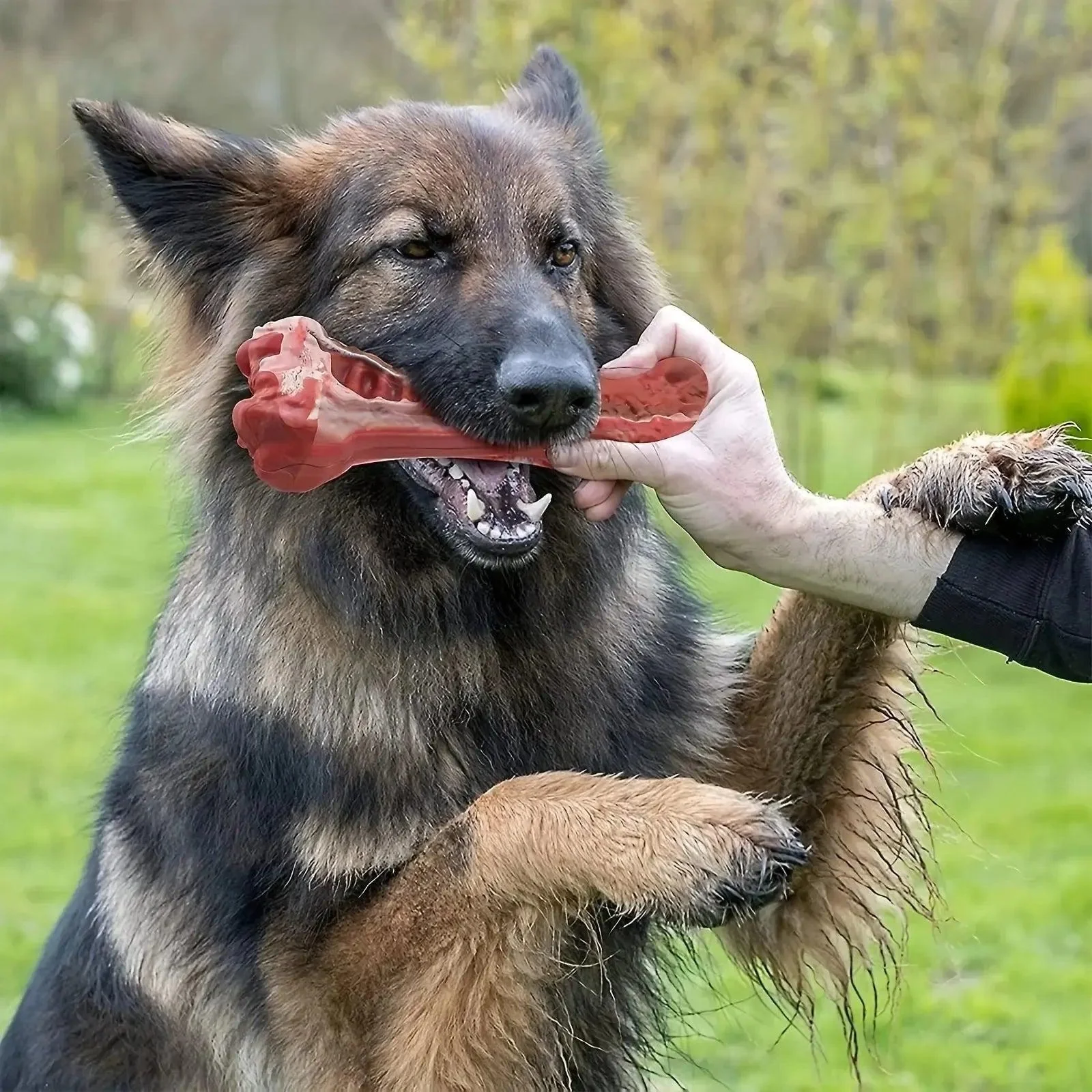 Realistic Bone Chew Toy for Large Dogs and Aggressive Chewers 8