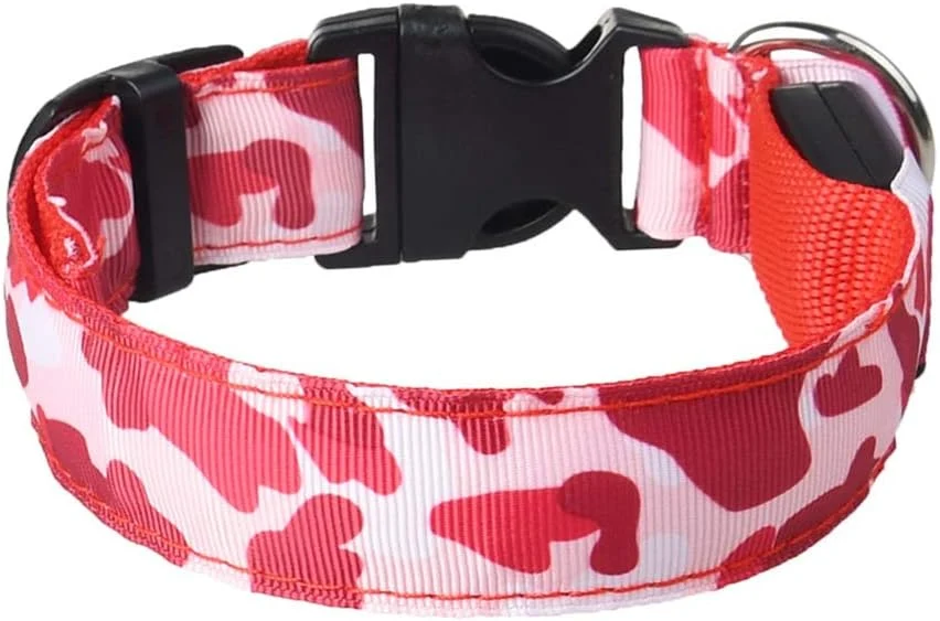 Rechargeable LED Dog Collar for Night Safety
