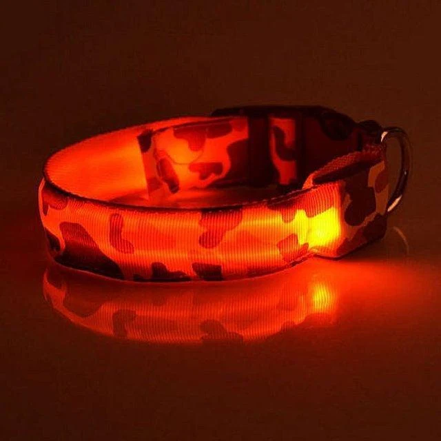 Rechargeable LED Dog Collar for Night Safety