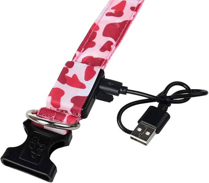Rechargeable LED Dog Collar for Night Safety
