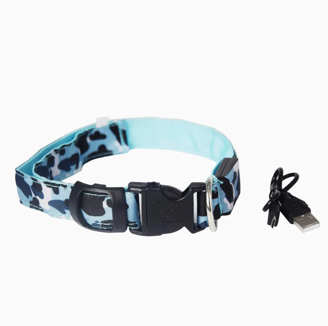 Rechargeable LED Dog Collar for Night Safety