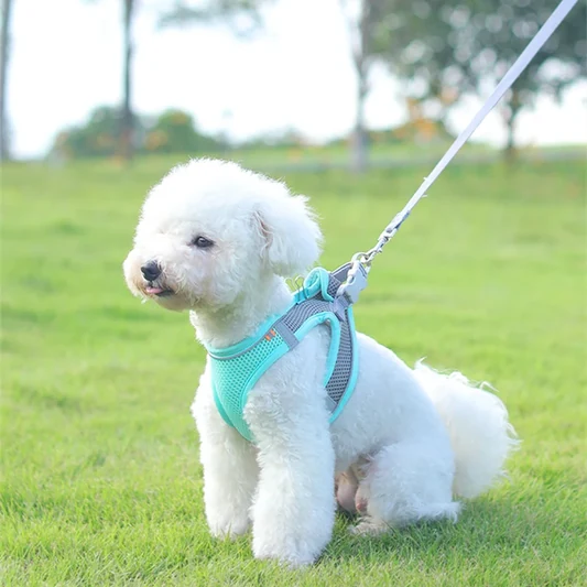 Reflective Dog Harness Vest