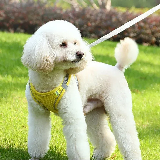 Reflective Dog Harness Vest 13