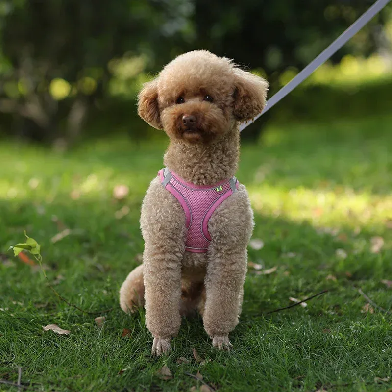Reflective Dog Harness Vest 6