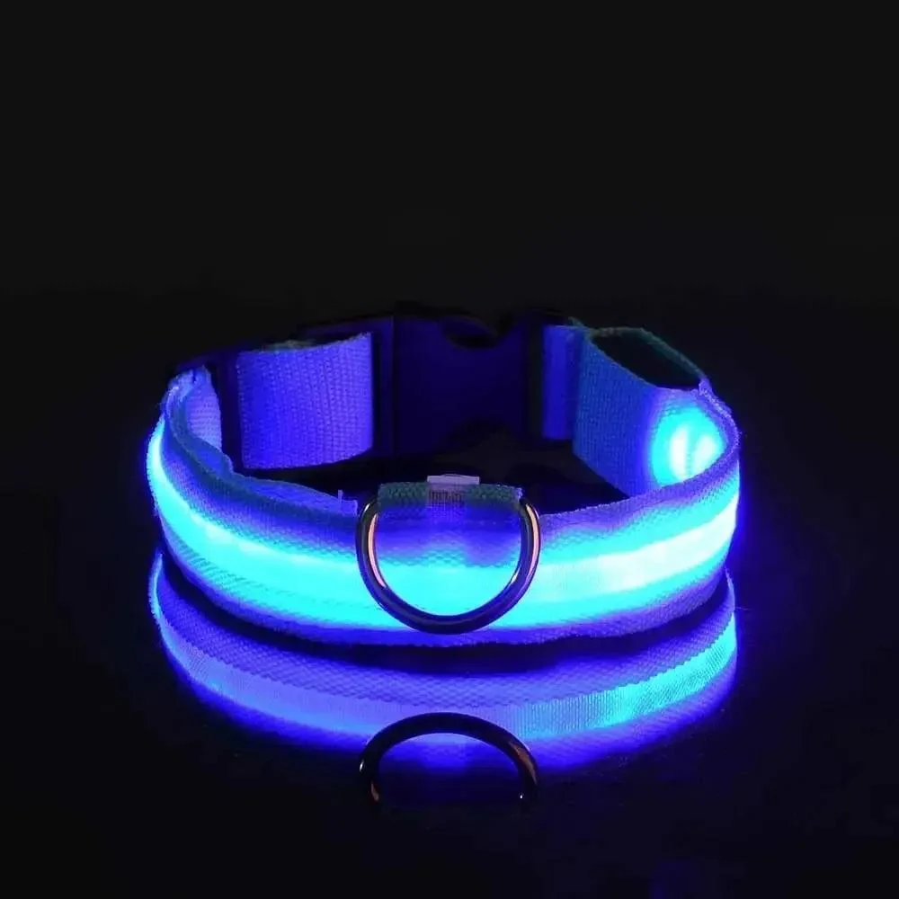 Reflective LED Dog Collar – Waterproof, Adjustable & Bright 4