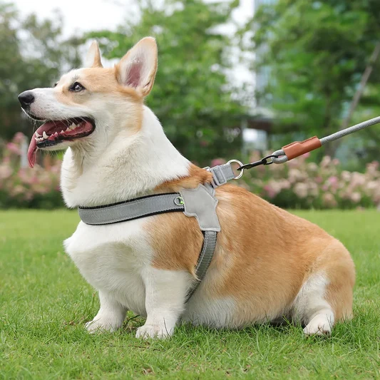 Reflective No Pull Dog Harness alternate view