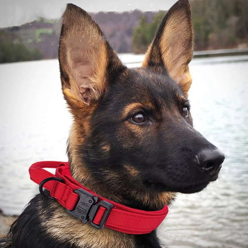 Reflective Tactical Dog Collar 6