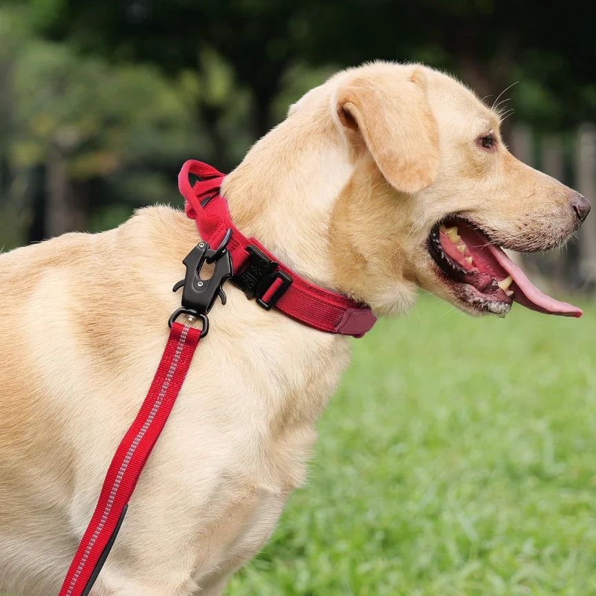 Reflective Tactical Dog Collar 8