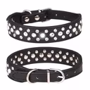 Rhinestone Studded Dog Collar