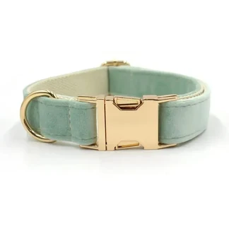 Sage Velvet Dog Collar