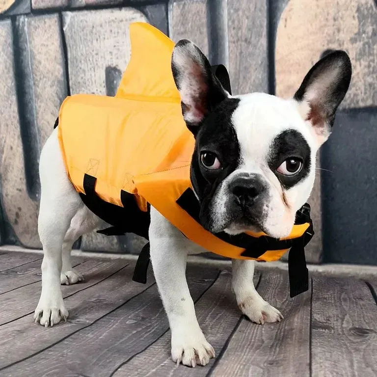 Shark Fin Dog Life Jacket alternate view