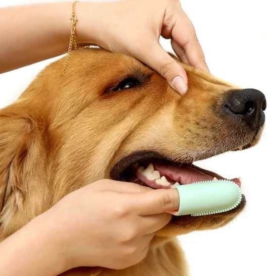 Silicone Finger Dog Toothbrush
