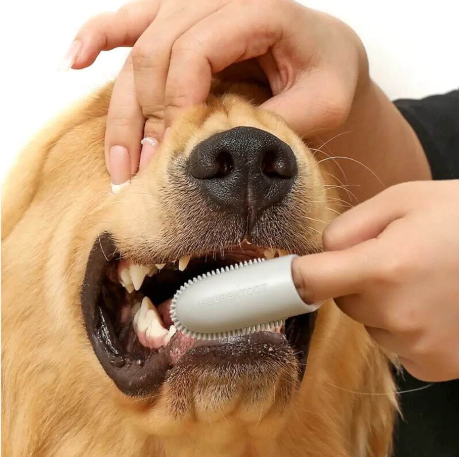 Silicone Finger Dog Toothbrush 3