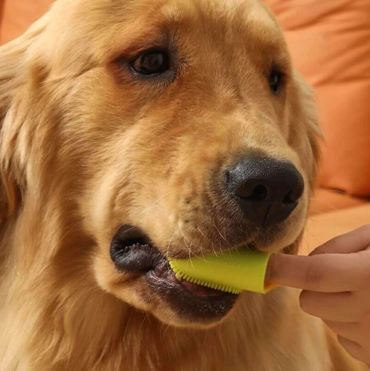 Silicone Finger Dog Toothbrush 4