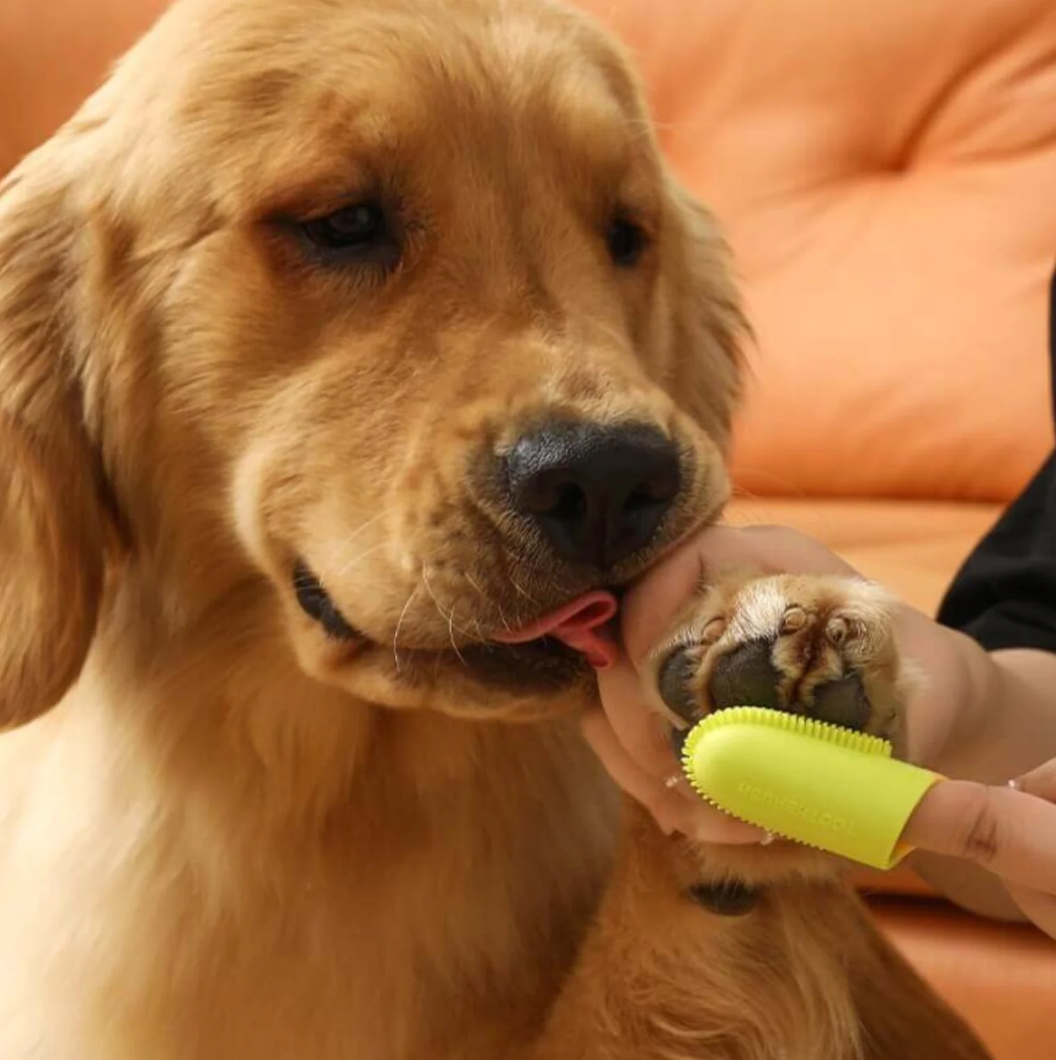 Silicone Finger Dog Toothbrush 5