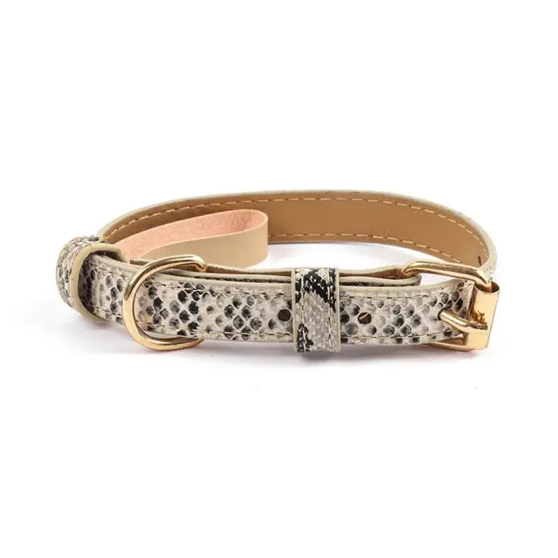 Snake Printed Dog Collar