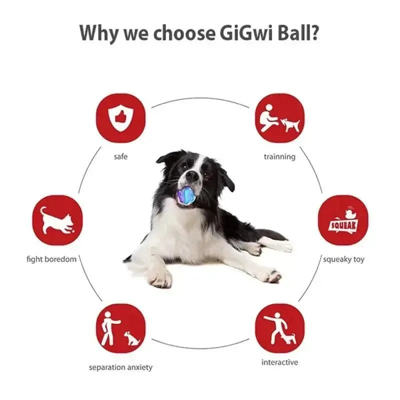 Squeaky Bouncy Dog Ball – G-Ball Series 4