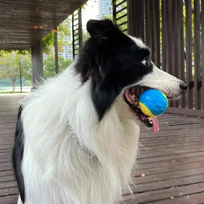 Squeaky Premium Rubber Balls for Dogs 4