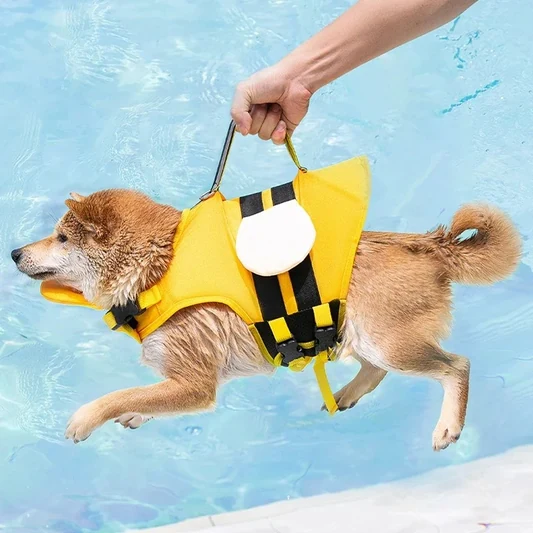 Summer Bee Design Dog Life Jacket alternate view