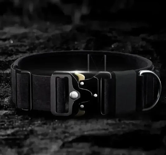 Tactical Dog Collar with Handle & Metal Buckle